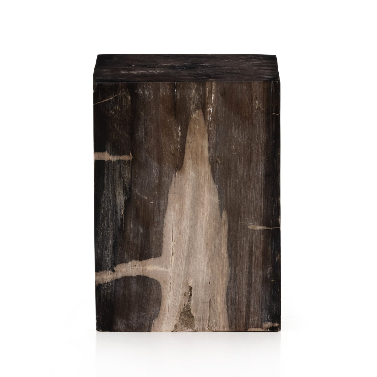 Caleb Petrified Wood End Table