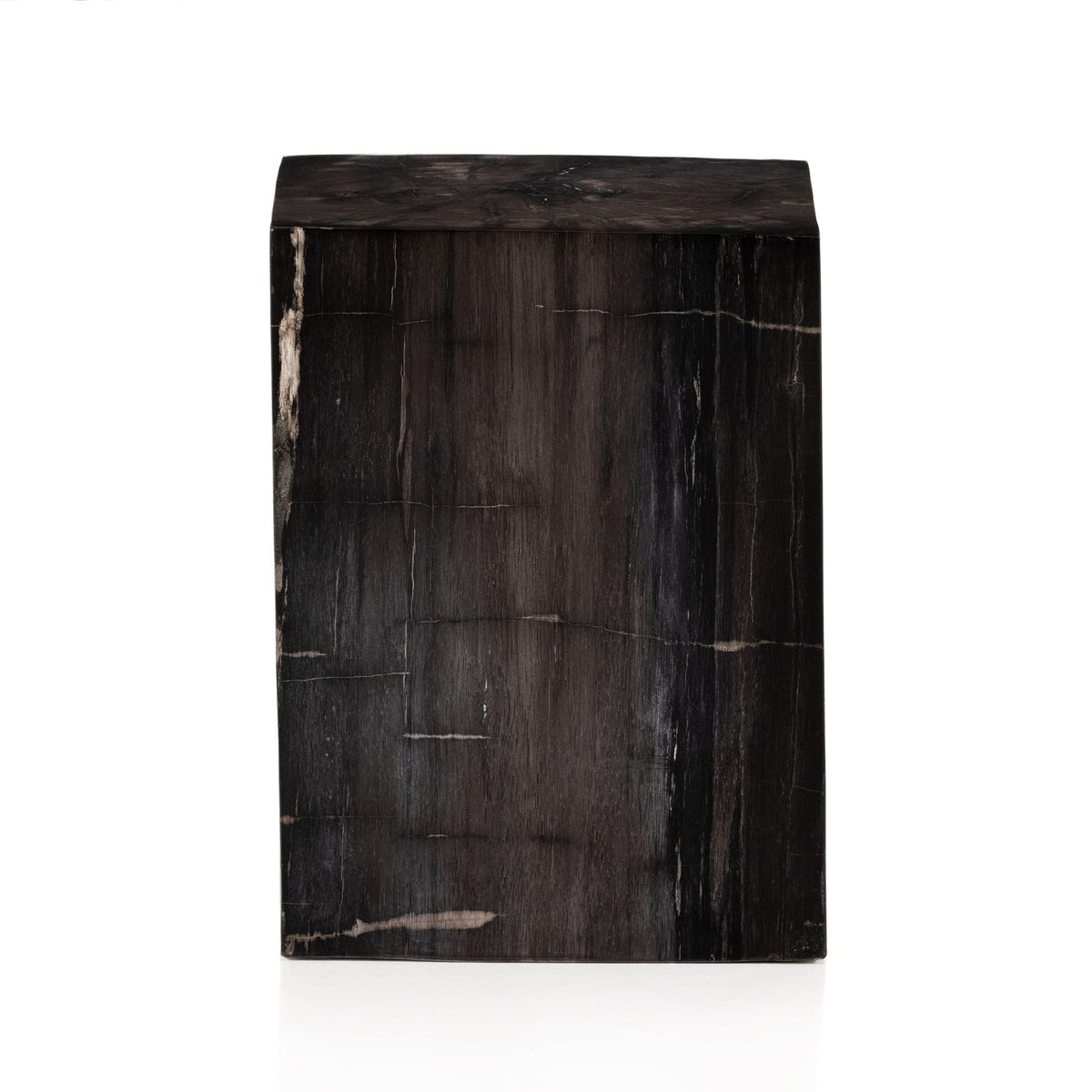 Caleb Petrified Wood End Table