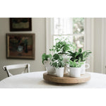 White French Cache Pot, Large