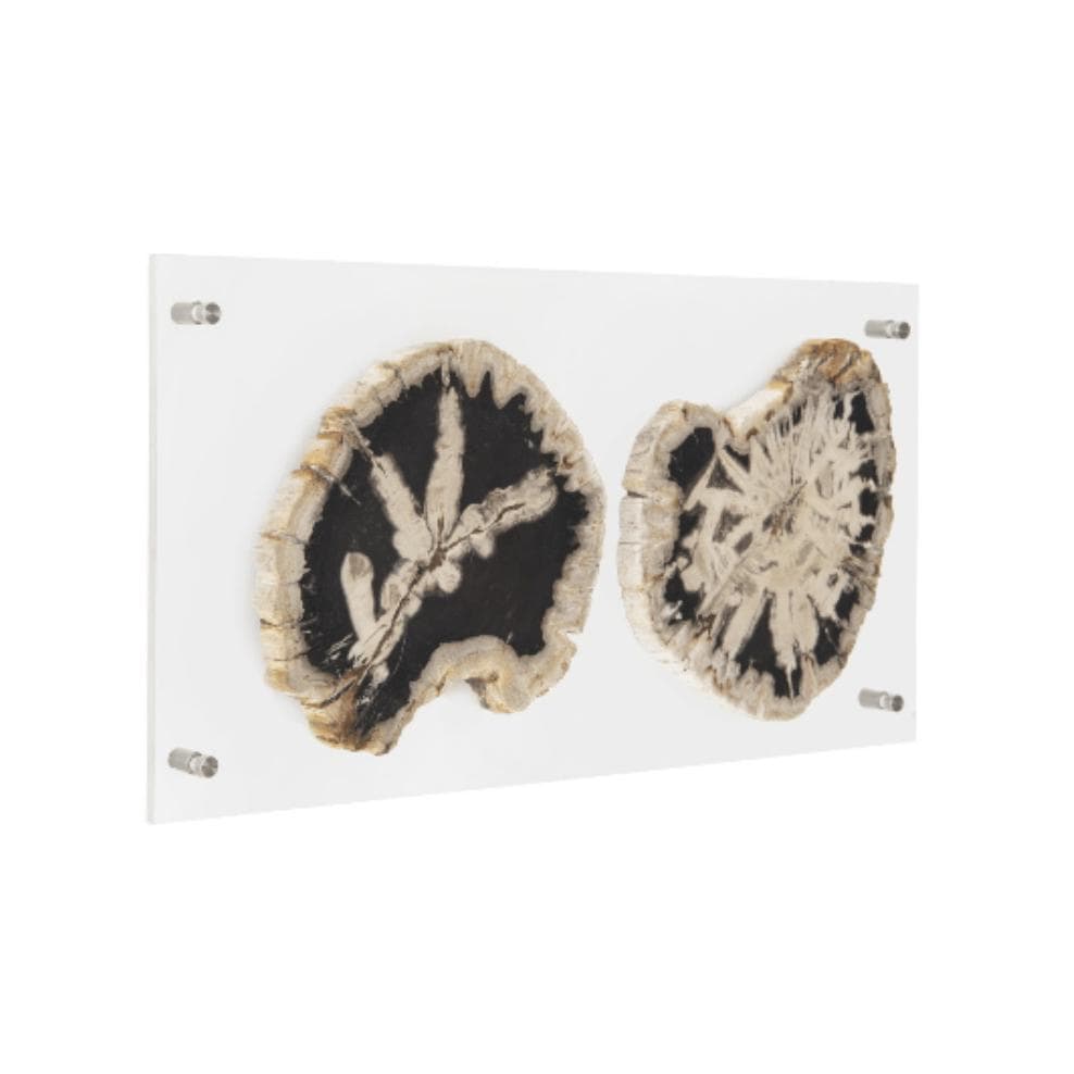 Floating Petrified Double Slice Wall Art