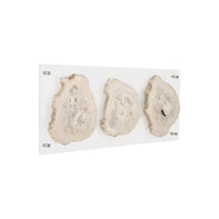 Floating Petrified Triple Slice Wall Art