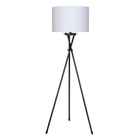 Manny Dark Bronze Floor Lamp