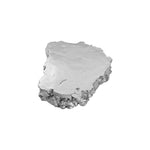 Silver Leaf Burled Root Wall Art, Small