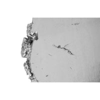 Silver Leaf Burled Root Wall Art, Small