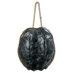 Turtle Shell Accessory Natural