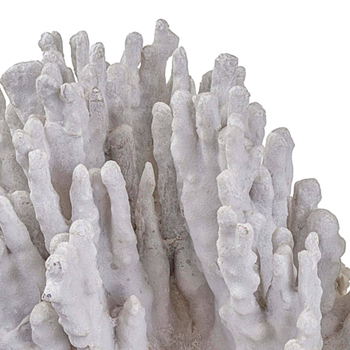 Coral Art Piece Large White