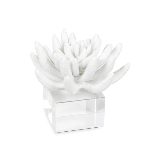 Succulent White & Acrylic Resin Sculpture