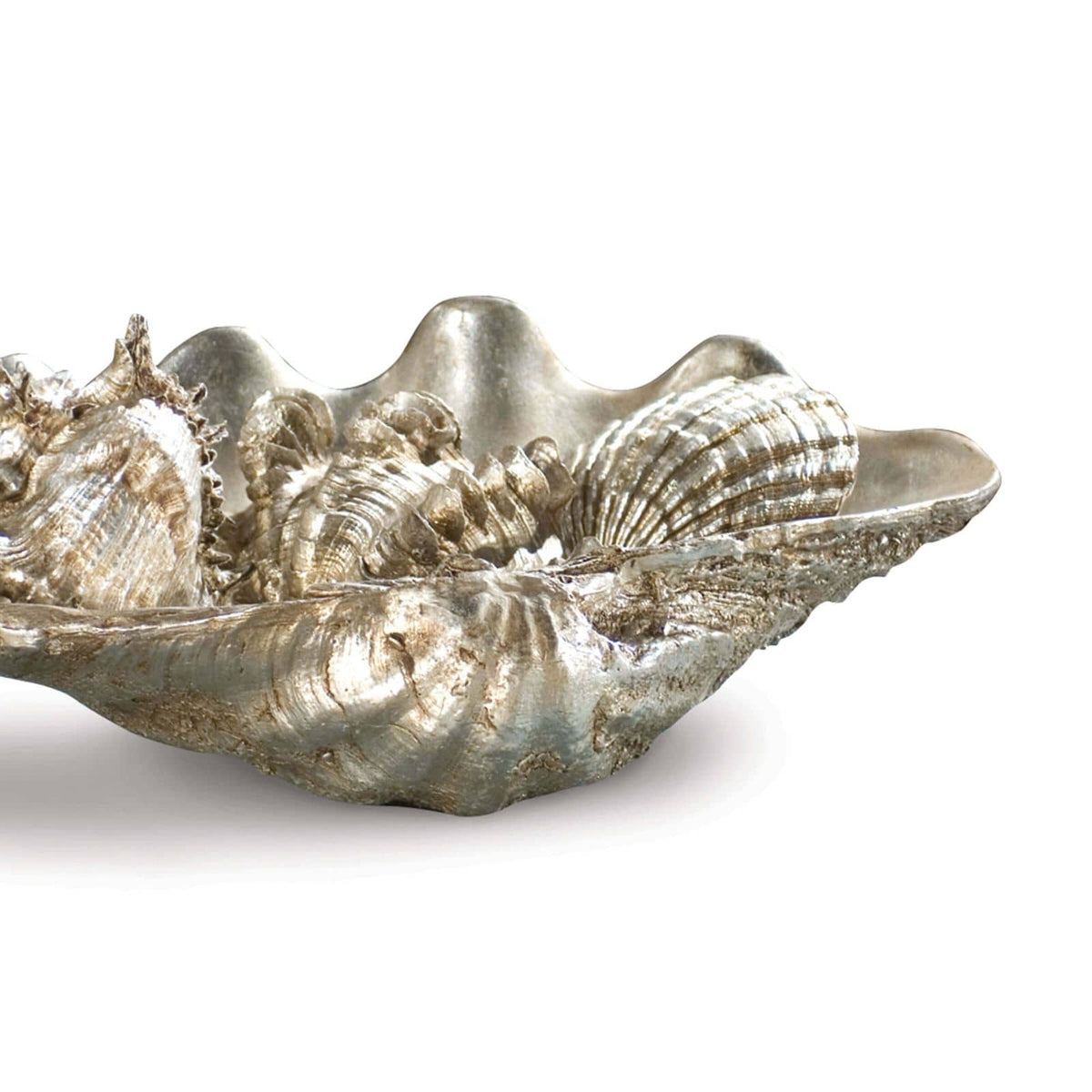 Silver Decorative Clam Shell