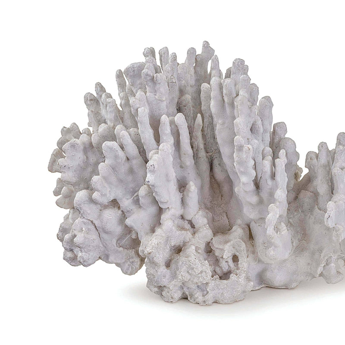 Coral Art Piece Large White